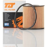 TJ QFL0107 Oil Filter