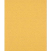 Bosch EXPERT C470 Best for Wood and Paint Unpunched Sanding Sheet