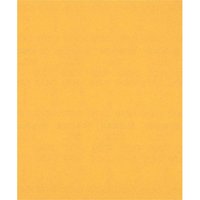 Bosch EXPERT C470 Best for Wood and Paint Unpunched Sanding Sheet