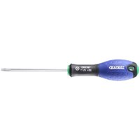 Expert by Facom Security Torx Screwdriver