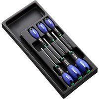 Expert by Facom 6 Piece Security Torx Screwdriver Set in Module Tray
