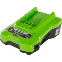 Greenworks G40C 40v Cordless Li-ion Standard Battery Charger