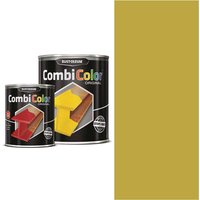 Rust Oleum CombiColor Metal Protection Paint