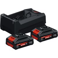 Bosch Expert PRO BLUE 18v Cordless EXBA 2 Battery 4ah and Charger Set