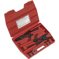 Sealey Heavy Duty Circlip Plier and Interchangeable Tip Set
