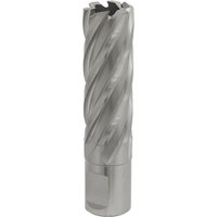 Sealey Rotabor Weldon Shank HSS Mag Drill Cutter