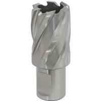 Sealey Rotabor Weldon Shank HSS Mag Drill Cutter