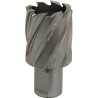 Sealey Rotabor Weldon Shank HSS Mag Drill Cutter