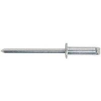 Sealey Pop Steel Rivets