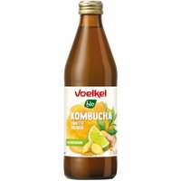 Kombucha mit Limette & Ingwer MEHRWEG Pfand 0,25 Getränke Kombucha