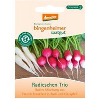 Radieschen-Trio Saaten & Hülsenfrüchte Saatgut: Gemüse & Obst