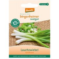 Lauchzwiebeln Ischikrona Saaten & Hülsenfrüchte Saatgut: Gemüse & Obst