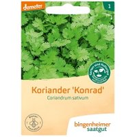 Koriander Saaten & Hülsenfrüchte Saatgut: Kräuter
