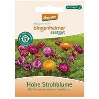 Hohe Strohblume Saaten & Hülsenfrüchte Saatgut: Blumen