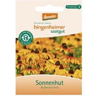 Sonnenhut Saaten & Hülsenfrüchte Saatgut: Blumen