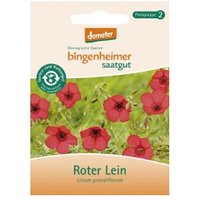 Roter Lein Saaten & Hülsenfrüchte Saatgut: Blumen