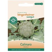 Brokkoli Calinaro Saaten & Hülsenfrüchte Saatgut: Gemüse & Obst