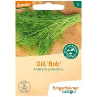 Dill Saaten & Hülsenfrüchte Saatgut: Kräuter