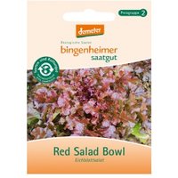 Eichblattsalat Red Salad Bowl Saaten & Hülsenfrüchte Saatgut: Gemüse & Obst