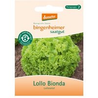 Blattsalat Lollo Bionda Saaten & Hülsenfrüchte Saatgut: Gemüse & Obst