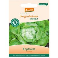 Kopfsalat Lucinde Saaten & Hülsenfrüchte Saatgut: Gemüse & Obst