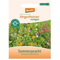 Sommerblumenmischung Sommerpracht Saaten & Hülsenfrüchte Saatgut: Blumen