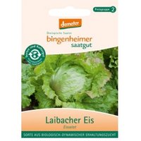 Eissalat Laibacher Eis Saaten & Hülsenfrüchte Saatgut: Gemüse & Obst