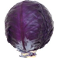 Rotkohl (1 kg) Obst, Gemüse & Eier Gemüse
