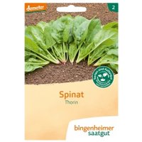 Spinat Thorin Saaten & Hülsenfrüchte Saatgut: Gemüse & Obst