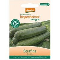 Zucchini Serafina Saaten & Hülsenfrüchte Saatgut: Gemüse & Obst