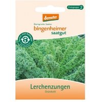 Grünkohl Lerchenzungen Saaten & Hülsenfrüchte Saatgut: Gemüse & Obst