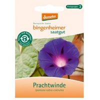 Prachtwinde Saaten & Hülsenfrüchte Saatgut: Blumen