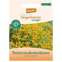 Polsterstudentenblume Saaten & Hülsenfrüchte Saatgut: Blumen