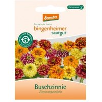 Buschzinnie Saaten & Hülsenfrüchte Saatgut: Blumen