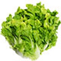 Endivien Obst, Gemüse & Eier Salate & Kräuter