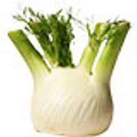 Fenchel Obst, Gemüse & Eier Gemüse