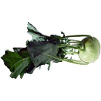 Kohlrabi Obst, Gemüse & Eier Gemüse