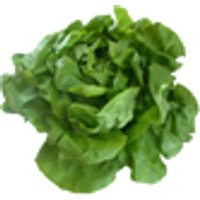 Kopfsalat, grün Obst, Gemüse & Eier Salate & Kräuter