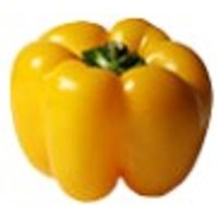 Paprika, gelb Obst, Gemüse & Eier Gemüse