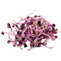 Sprossen-Mix Obst, Gemüse & Eier Gemüse