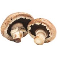 Steinchampignons (1 kg) Obst, Gemüse & Eier Pilze