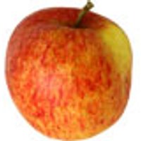 Äpfel, verschiedene Sorten Obst, Gemüse & Eier Obst & Nüsse