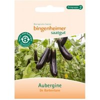 Auberginen De Barbentane Saaten & Hülsenfrüchte Saatgut: Gemüse & Obst