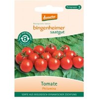 Cocktailtomaten Philamina Saaten & Hülsenfrüchte Saatgut: Gemüse & Obst