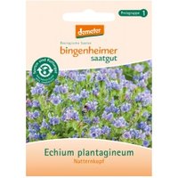 Natternkopf Saaten & Hülsenfrüchte Saatgut: Blumen