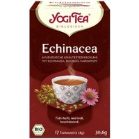 Echinacea-Tee im Beutel Kaffee, Tee & Kakao Ayurvedischer Tee