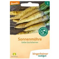 Karotten Gelbe Gochsheimer Saaten & Hülsenfrüchte Saatgut: Gemüse & Obst