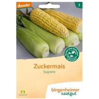 Zuckermais Sugrano Saaten & Hülsenfrüchte Saatgut: Gemüse & Obst