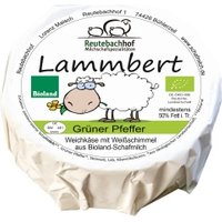 Schafs-Weichkäse Lammbert mit grünem Pfeffer Kühltheke Schafs- & Ziegenkäse
