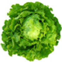 Eichblatt, grün Obst, Gemüse & Eier Salate & Kräuter